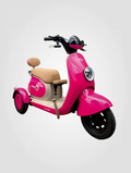 TRICICLO ELECTRICO BEETLE